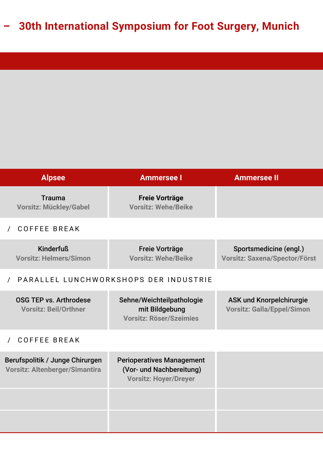 Vorschau Programm MUC 30 Seite 9
